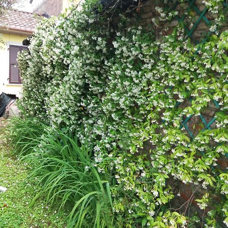 Ferienwohnung La Casa Del Tiglio Sarzana Exterior foto