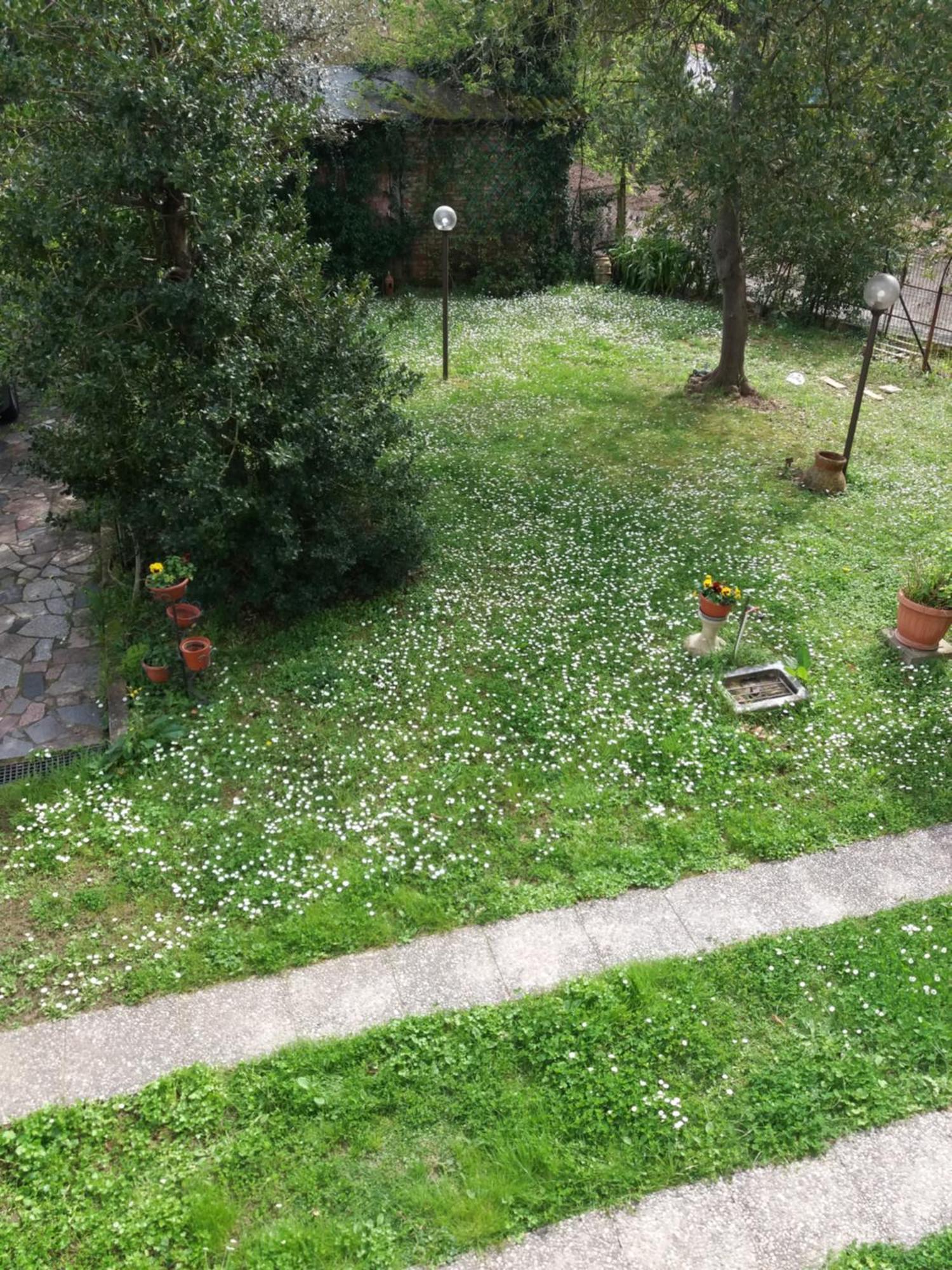 Ferienwohnung La Casa Del Tiglio Sarzana Exterior foto
