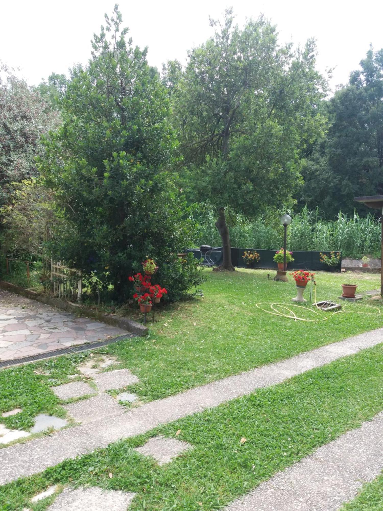 Ferienwohnung La Casa Del Tiglio Sarzana Exterior foto